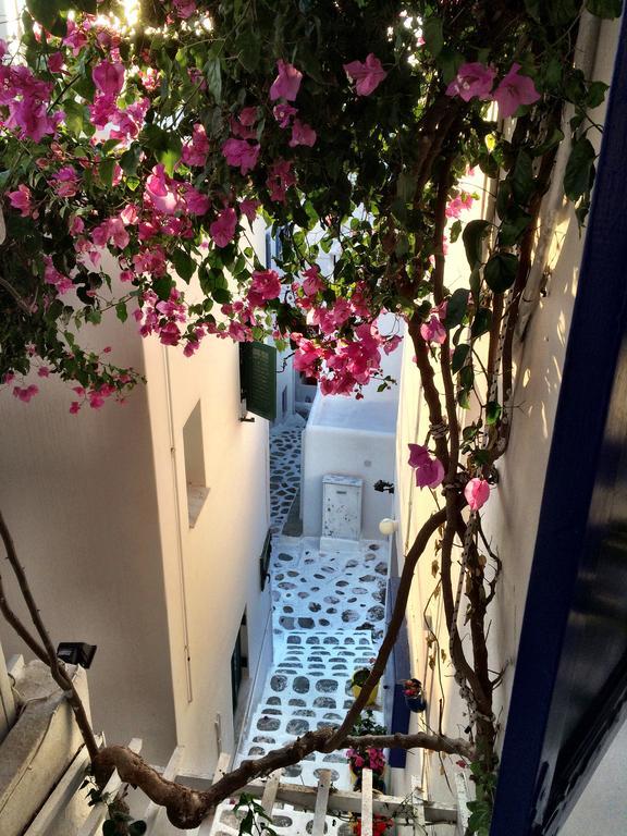 Lefteris Otel Mykonos Town Dış mekan fotoğraf