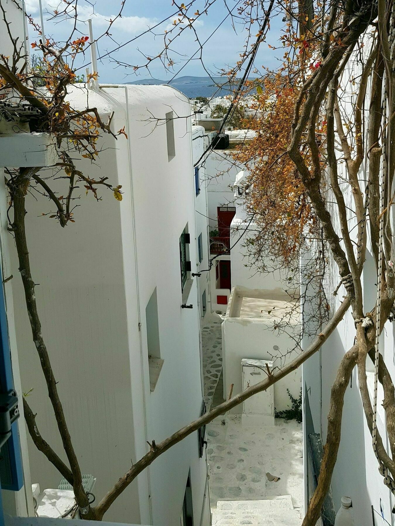 Lefteris Otel Mykonos Town Dış mekan fotoğraf